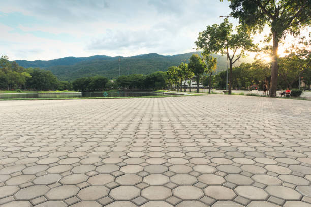 Best Driveway Pavers Near Me  in Inkster, MI
